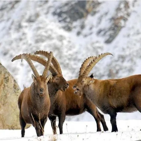 Belvilla By Oyo Grbe Trilo *